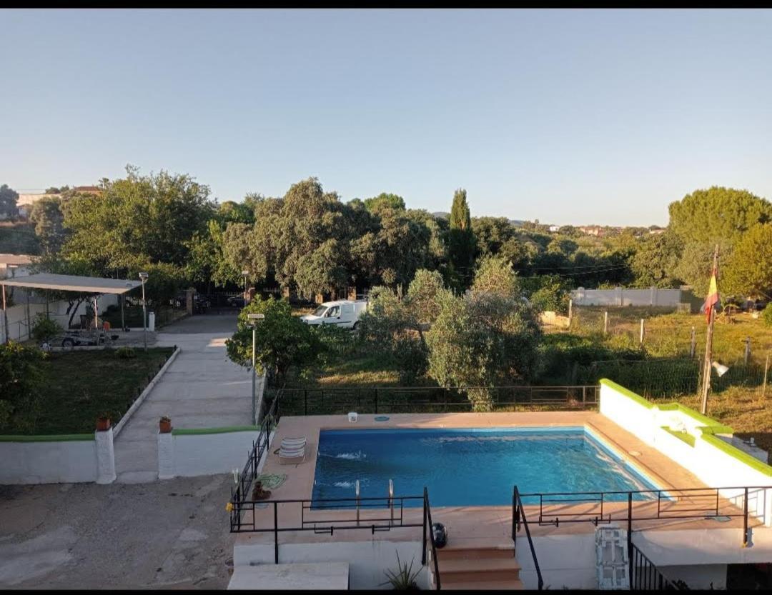 Ferienhaus Pet-friendly