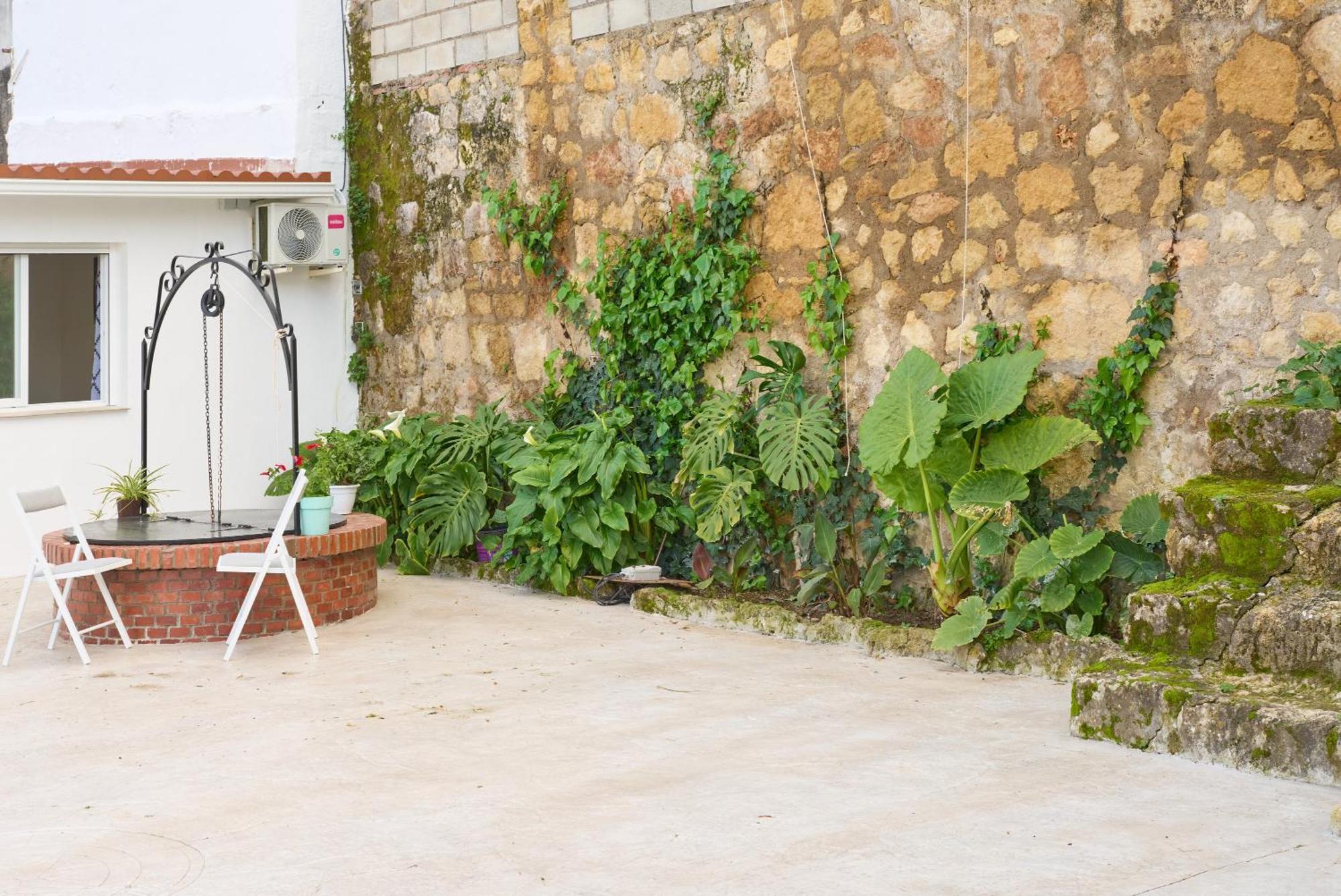Pet-friendly Holiday home
