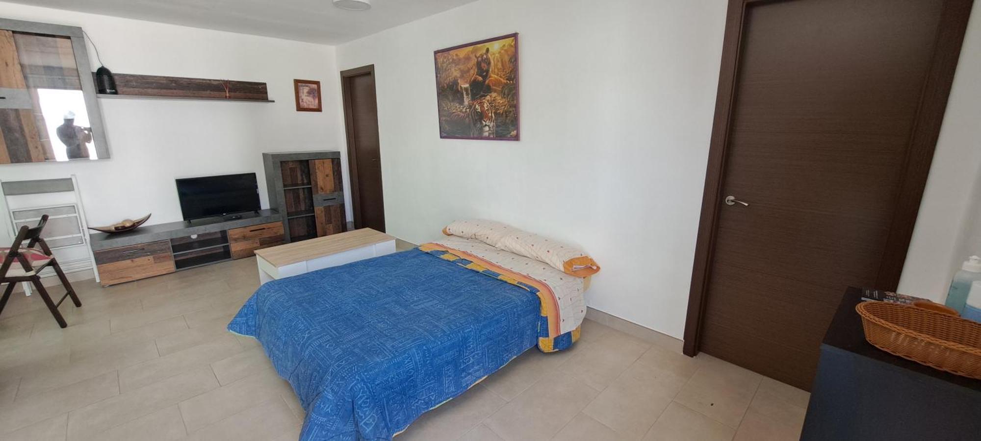 Pet-friendly Holiday home